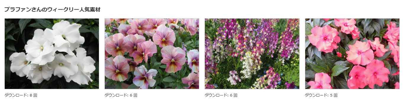 写真販売プラファン